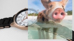 Zegarek damski OTPA59P1502x