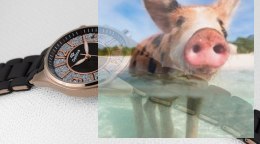 Zegarek damski OTPA59P1503x