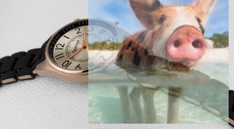 Zegarek damski OTPA59P1505x