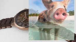 Zegarek damski OTPA59P1507x