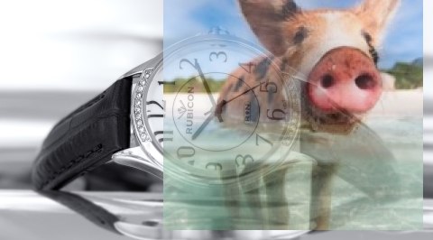 Zegarek damski RNAD62SAWX03BX