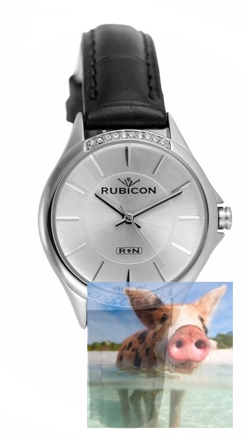 Zegarek damski RNAD62SISX03BX