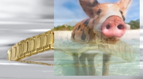 Zegarek damski RNBC21GIGX03BX