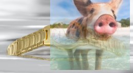 Zegarek damski RNBC21GISX03BX