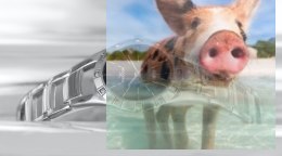 Zegarek damski RNBC70SIBX03BX