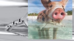 Zegarek damski RNBC96SMSX03BX