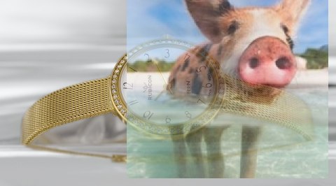 Zegarek damski RNBC97GAWX03BX