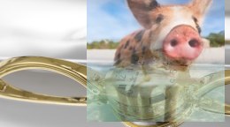 Zegarek damski RNBC99GAWX03BX