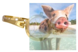 Zegarek damski RNBC99GISX03BX