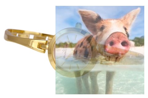 Zegarek damski RNBC99GISX03BX