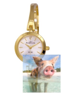 Zegarek damski RNBC99GISX03BX