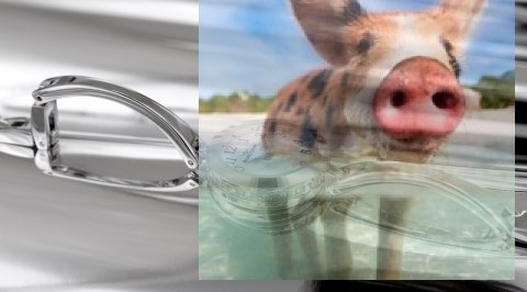 Zegarek damski RNBC99SAWX03BX