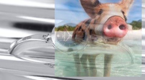 Zegarek damski RNBC99SIBX03BX