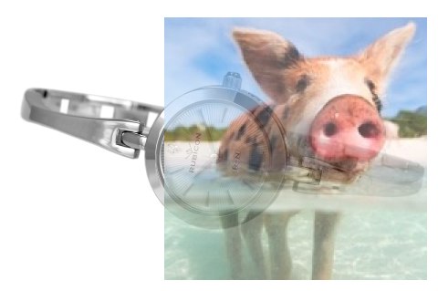 Zegarek damski RNBC99SISX03BX