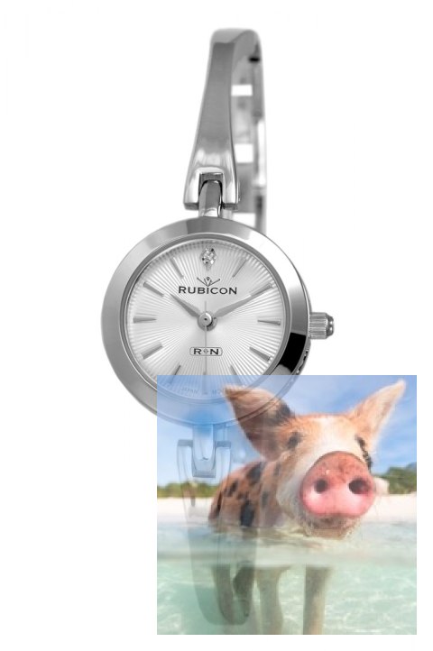 Zegarek damski RNBC99SISX03BX