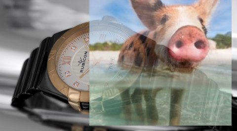 Zegarek damski RNPD33TMSX03BX