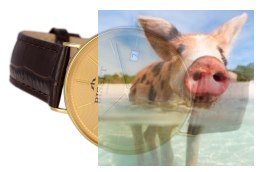 Zegarek męski BSYF24GIGX01BX