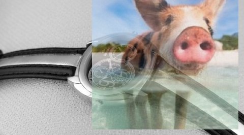 Zegarek męski OTDA09C1002p