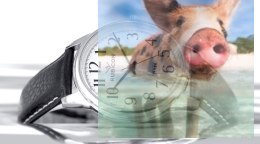 Zegarek męski RNCD54SAWX05BX