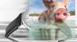 Zegarek męski RNCD54SISX05BX