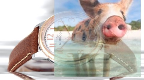 Zegarek męski RNCD54TASX05BX