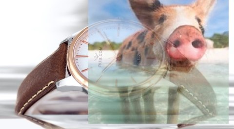 Zegarek męski RNCD54TISX05BX