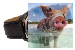 Zegarek męski RNCD69BIDX05AX