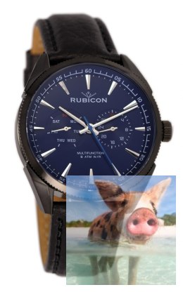 Zegarek męski RNCD69BIDX05AX