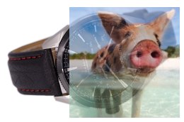 Zegarek męski RNCD69TIBX05AX