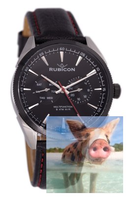 Zegarek męski RNCD69TIBX05AX