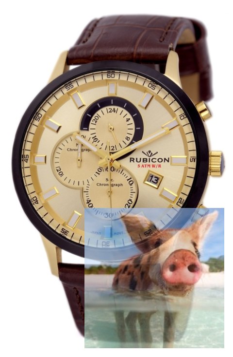 Zegarek męski RNCD71TIGB05AX