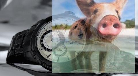 Zegarek męski RNDD21BISB03BX Zegarek męski RNDD21BISB03BX