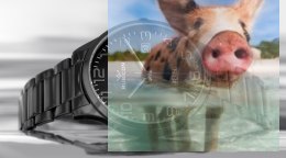 Zegarek męski RNDD60BABX03BX