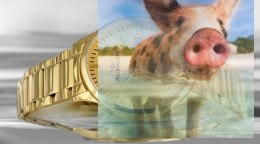 Zegarek męski RNDD60GIGX03BX