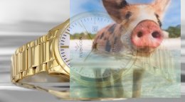 Zegarek męski RNDD60GISX03BX