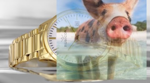 Zegarek męski RNDD60GISX03BX