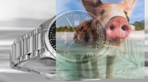 Zegarek męski RNDD60SABX03BX