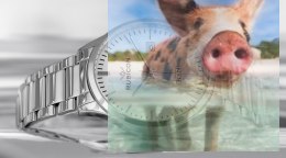 Zegarek męski RNDD60SISX03BX