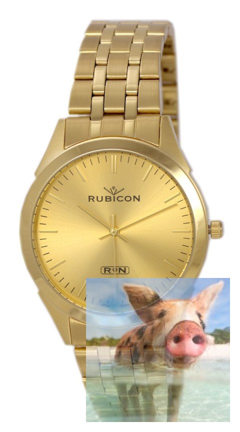 Zegarek męski RNDD66GIGX03BX