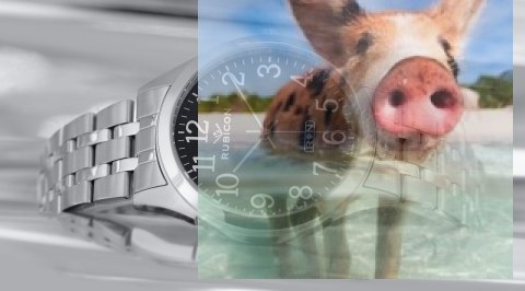 Zegarek męski RNDD66SABX03BX