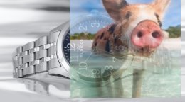 Zegarek męski RNDD66SADX03BX