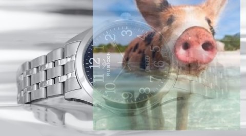 Zegarek męski RNDD66SADX03BX