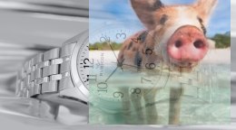 Zegarek męski RNDD66SAWX03BX