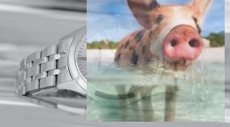 Zegarek męski RNDD66SISX03BX