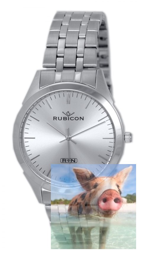 Zegarek męski RNDD66SISX03BX