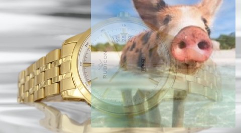 Zegarek męski RNDD67GISX05BX