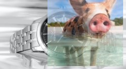 Zegarek męski RNDD67SIBX05BX