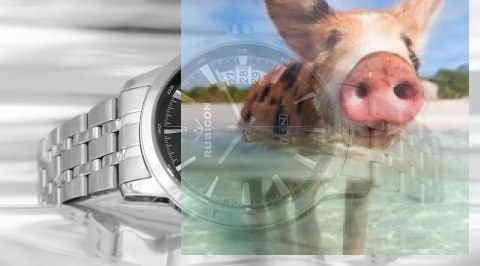 Zegarek męski RNDD67SIBX05BX