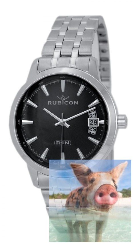 Zegarek męski RNDD67SIBX05BX