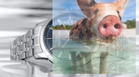 Zegarek męski RNDD67SIDX05BX